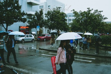 8EED4236-BA4D-4230-9E17-1024B2EF4AC7/L0/001