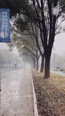 DCDB4174-FB50-49BC-815D-1A9FCFD045E3/L0/001