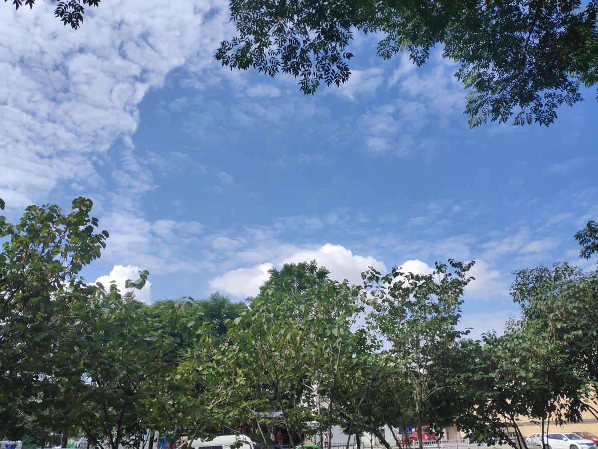 天气晴朗,阳光明媚~06 - 山花如翡 - 图虫