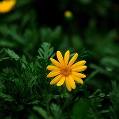 9D2F051F-3720-4C83-80F9-3E6E3597D1C4/L0/001