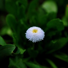 4AFFB77E-68A5-457F-98C1-6F6F34B44ABE/L0/001