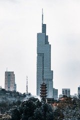 335733