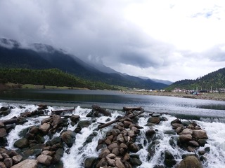 1977
