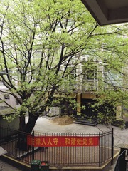 E34D0304-6F27-419B-94D1-35DF694C0413/L0/001