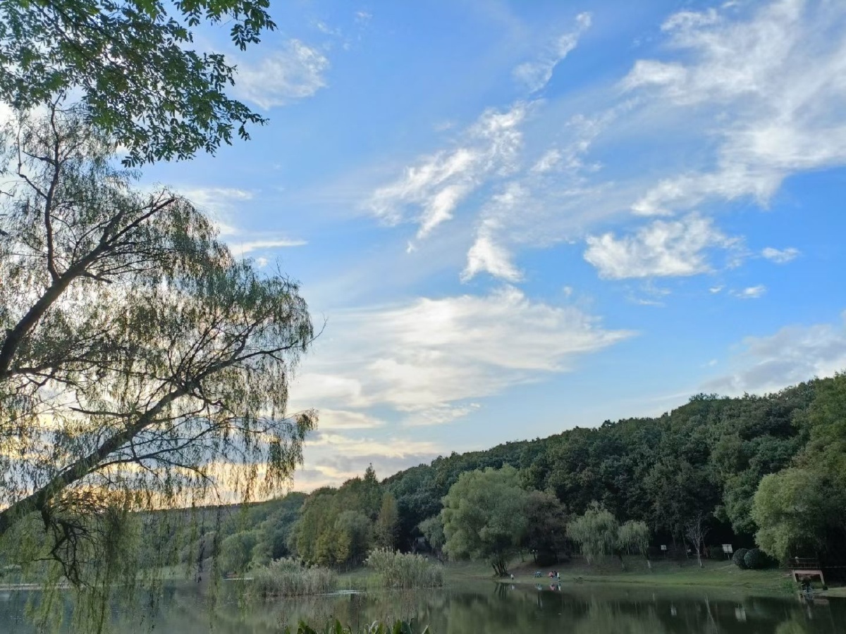 南京市琵琶湖公园