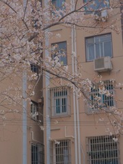 B03ABCBB-2544-467C-A328-1115235C0642/L0/001