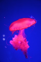 101790