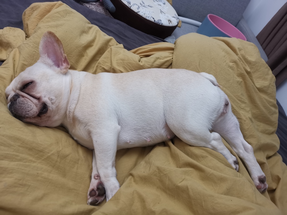 这妖娆的睡姿我也是醉了