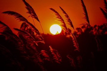 5A6B6318-E825-4A36-9AAF-B94D74C39376/L0/001