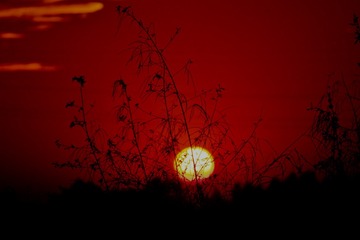 2CC61F80-E7A3-4409-BF36-C6CEB9803316/L0/001