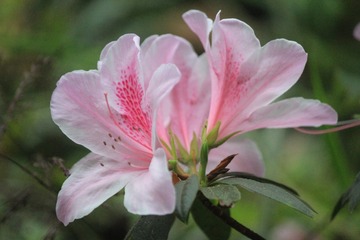 1BD8DFE6-25C7-444D-BA35-E3EF1539D836/L0/001