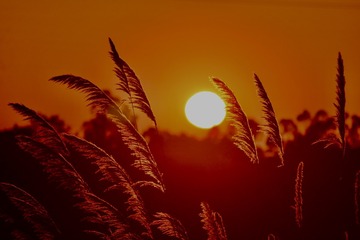 4B754016-EE31-455B-90AF-DE46C9F4B3CE/L0/001