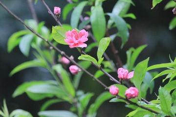 CDB68615-7AD3-44AB-AE60-E0DBEA16E435/L0/001