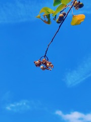 79635
