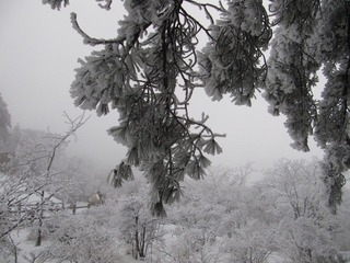 雪