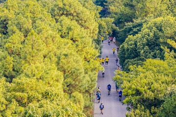 DJI_20240116114125_0049_D_1