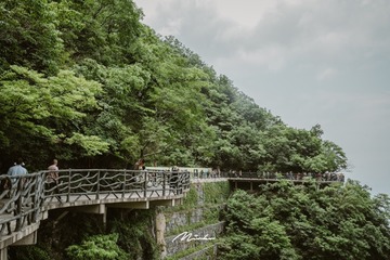 “MIR08005”大