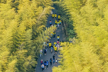 DJI_20240116112309_0044_D