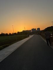 8CC2F70B-C9B8-4E16-B8FD-A9C1A8A8AE3F/L0/001