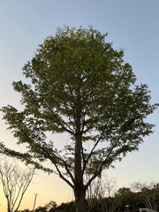 C868D1C6-7D08-4BC6-A5CB-A279CC63EE26/L0/001