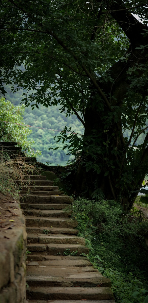 夏日金刚碑古镇北碚