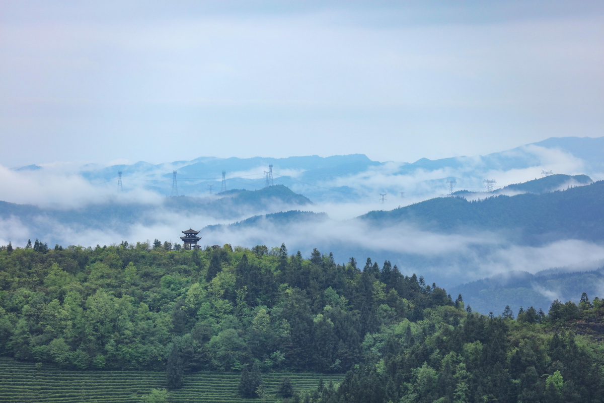 空山新雨山色空蒙