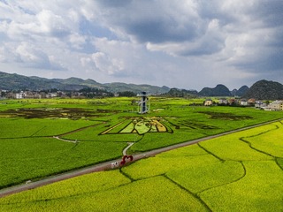 1000033871