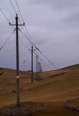 1000010377