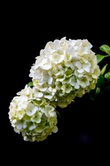 A6374B08-6E95-4BD5-804D-C0427C5752E4/L0/001