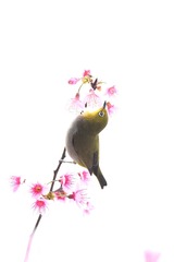 F1D26835-AD77-4F8A-9244-A1CC1B7982EB/L0/001