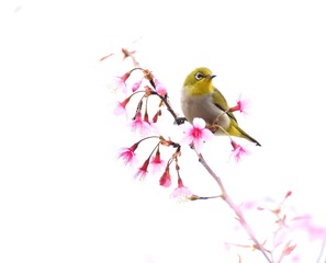 78C1581C-8FB8-479D-819F-07899B2FA6D5/L0/001
