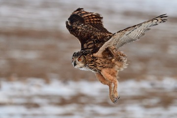 D7921215-EA25-4C84-AB5D-3123B7501851/L0/001