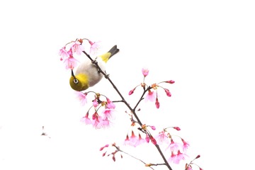 5A36BBFE-497F-4170-AC7D-43998FEE4BDD/L0/001