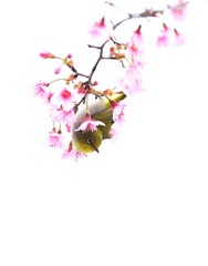 F6DCB36D-EF23-4E87-873A-1928F325E321/L0/001