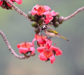 4AEDF122-7C7C-4EAB-B29C-F393F7ED57EE/L0/001