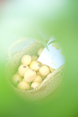 BA7658C5-88F4-483E-B01B-BD7CC86DB0CC/L0/001