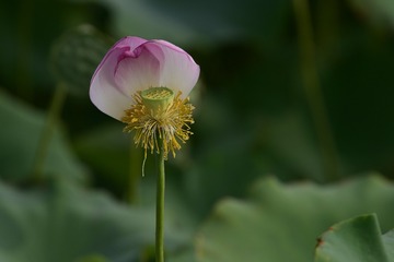 _DSC5754