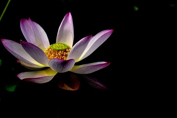_DSC5831