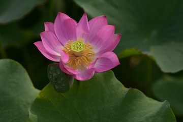 _DSC5752
