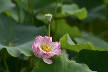 _DSC5750