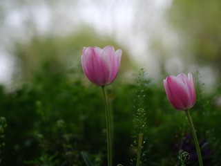 76E13ED3-25DD-4790-8BD7-4D3C08ECE1EB/L0/001