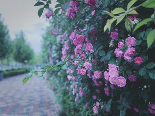 F537D4E0-E009-40E6-954D-ADFB5D88AF49/L0/001