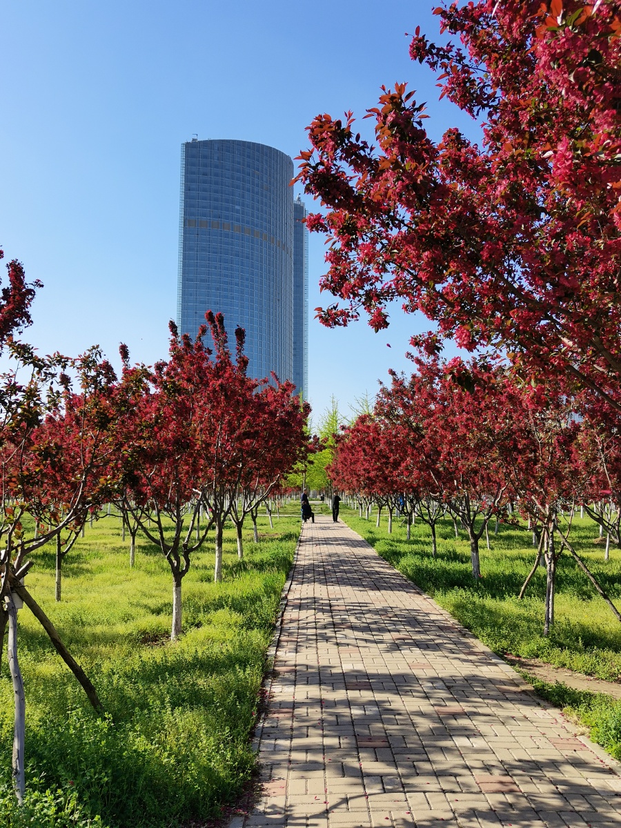 华为nova8拍照超美