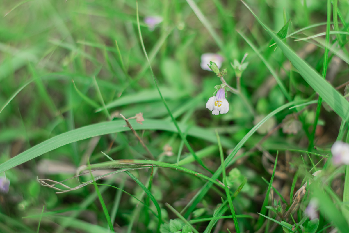256张图挑出来47张精修20张否定4张最后只剩16张图可太不容易了