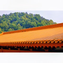 9012518D-BFE9-48C2-B97E-2DD513076E07/L0/001
