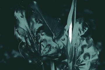 4396A308-2D6E-4391-ACED-2B632DD43DF2/L0/001