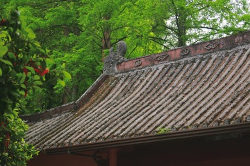 B6BB0C3C-A040-42DD-91A2-4076DBBEEA2A/L0/001