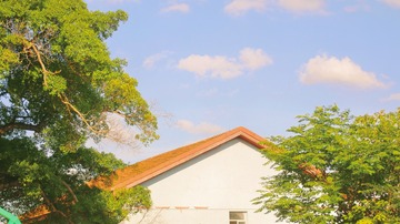 B883677D-C800-4D94-B906-7EE0CE98C8F7/L0/001