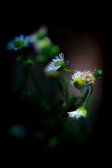 2CF0D5EA-F4C2-46CB-92AB-DC8E8056D921/L0/001