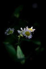 25639B37-3196-4C48-8517-FFE7D37FBE84/L0/001